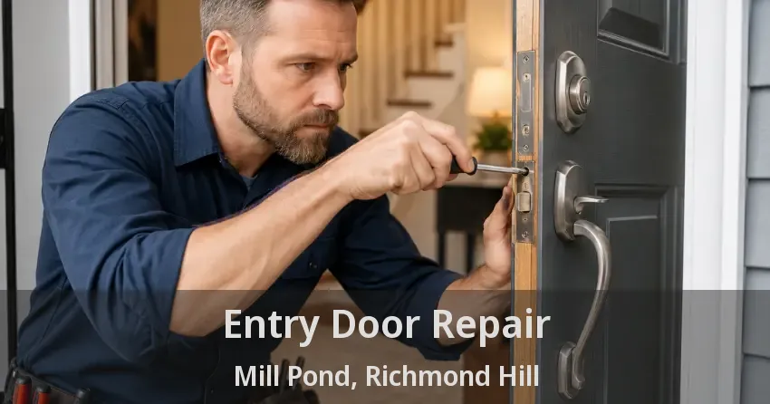 Entry Door Repair Mill Pond, Richmond Hill - ON