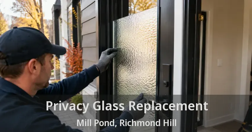 Privacy Glass Replacement Mill Pond, Richmond Hill - ON